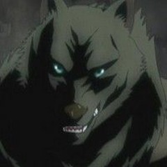 Werewolf pack