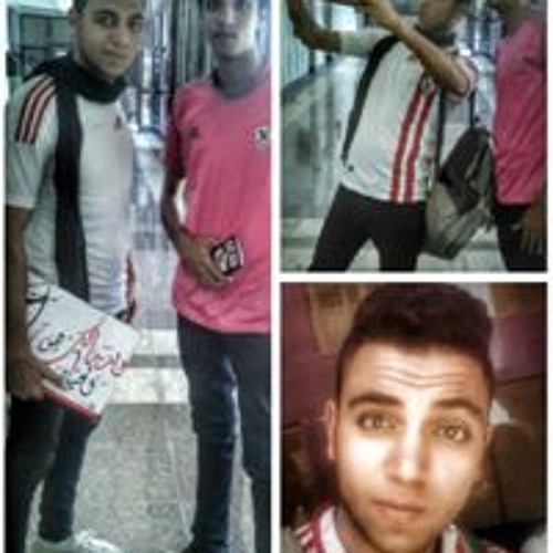 Mahmoud Osha’s avatar