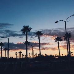 reillyhennesey