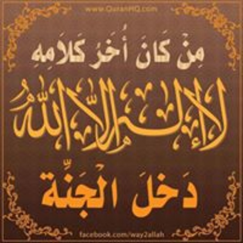 Abu Mustafa EL-kersh’s avatar