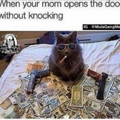 DeAndre Yg Saint Woodin