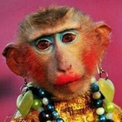 Stephanie Lucas Rogers