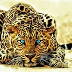 محمد سمير المنسى