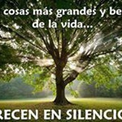 Lic Uriel Isai Garza