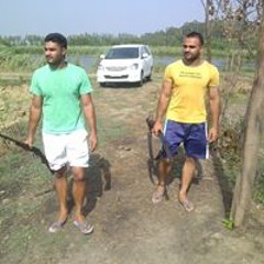 Harman Kandhola