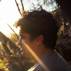 Diogo Gargur