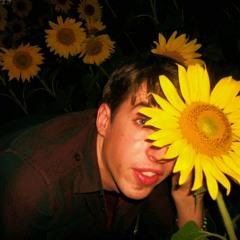 The SunTrip