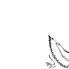 Bellis Wingclaw