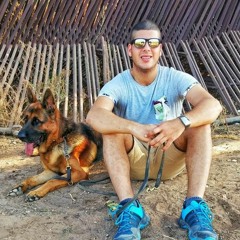 almogcohen
