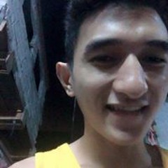 Vladìmìr F De Lemos