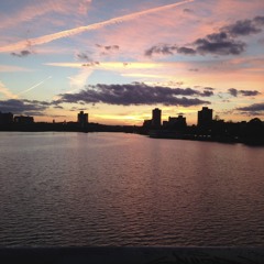 Camila Fonseca Alves