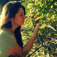 Katherin Pereira Acosta