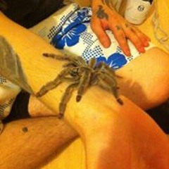 Chrissy James Chapelhow