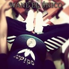 Wane Stils Unic