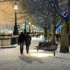 hesham