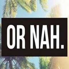 Damian Sitter Prestele