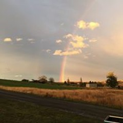 Michelle Pauline Gruss