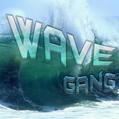 Wave Gang 316