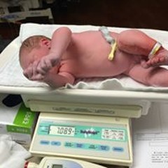 Everett D Matthews Jr.