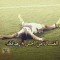 Mohamed Ashraf