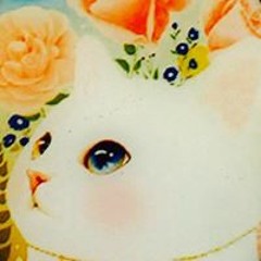 user355406015