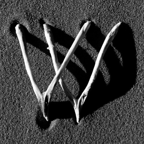 Wishbone’s avatar