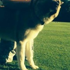 David Fatdeposits Murphy