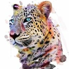 Regina Garcia Miranda