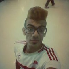 Mahmoud H. Hamed