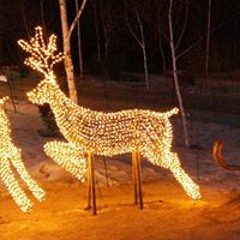 곽경현