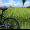 RogierVeld