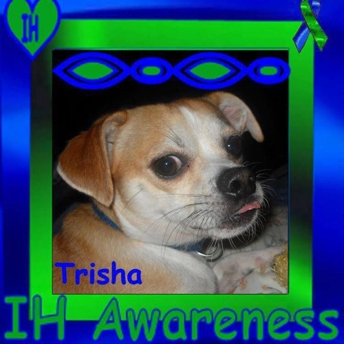Trisha Wilson’s avatar