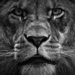 Евгений Крачун