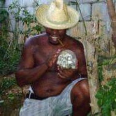 Jesus Israel Huitron