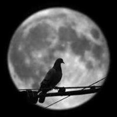 قران ومواعظ