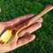 twisted wooden spoons