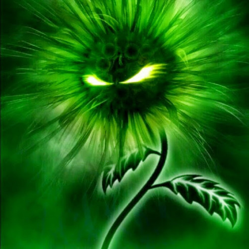 Stream Austin Young music | Listen to songs, albums, playlists for free