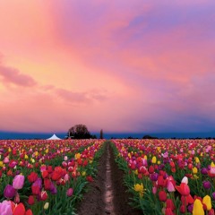 beautiful <3