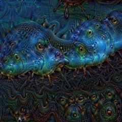 Jack Krywyn and Ethan Walls - Down With Ebola