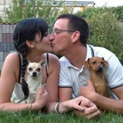 Christian Hollenbach