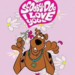 Attend Le Champignon Jhon