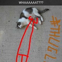 hallovuki