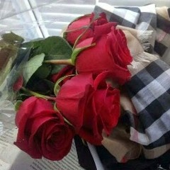 ‫احمد الامير‬‎