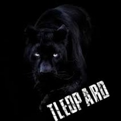 TLeopard