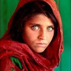 Sharbat Gula