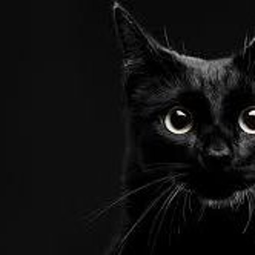 Yose the Black Cat’s avatar