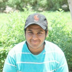 Hossam Gharib