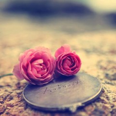 Celine_liny_Dassonville