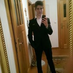 Sebastian Gartlehner