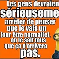 Vilain Polisson